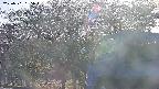 takano3-20250501165044.jpg