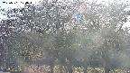 takano3-20250501170044.jpg
