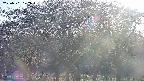 takano3-20250501172044.jpg