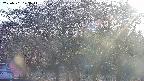 takano3-20250501173045.jpg
