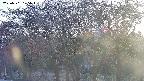 takano3-20250501175043.jpg