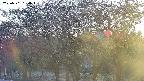 takano3-20250501180046.jpg