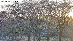 takano3-20250501181044.jpg