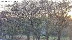 takano3-20250501182044.jpg