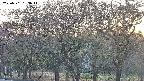 takano3-20250501183042.jpg
