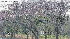 takano3-20250502050044.jpg