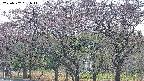 takano3-20250502051043.jpg