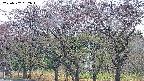 takano3-20250502052044.jpg