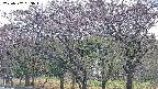 takano3-20250502053043.jpg