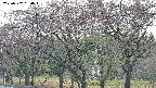 takano3-20250502054043.jpg