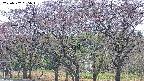 takano3-20250502055044.jpg