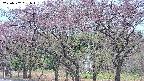 takano3-20250502061043.jpg
