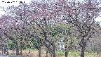 takano3-20250502063044.jpg