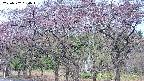 takano3-20250502064044.jpg