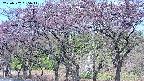 takano3-20250502065042.jpg
