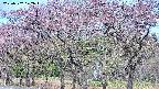takano3-20250502072044.jpg