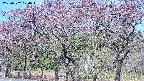 takano3-20250502074043.jpg