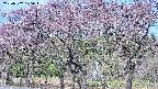 takano3-20250502075043.jpg