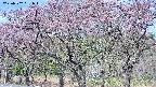 takano3-20250502081044.jpg