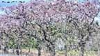 takano3-20250502082043.jpg