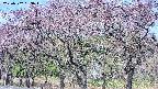 takano3-20250502083045.jpg