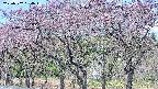 takano3-20250502084044.jpg