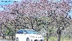 takano3-20250502085044.jpg