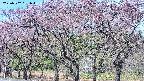 takano3-20250502091045.jpg