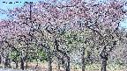 takano3-20250502092043.jpg