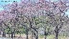 takano3-20250502093047.jpg