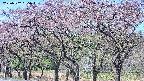 takano3-20250502095043.jpg