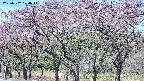 takano3-20250502100045.jpg