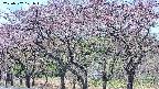takano3-20250502101045.jpg