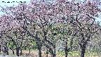 takano3-20250502102045.jpg