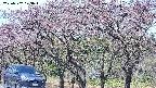 takano3-20250502103045.jpg