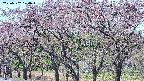 takano3-20250502104045.jpg