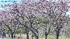 takano3-20250502105044.jpg