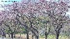 takano3-20250502110044.jpg