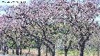 takano3-20250502111046.jpg