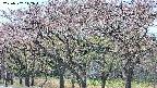 takano3-20250502112045.jpg