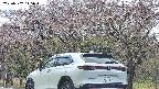 takano3-20250502115045.jpg