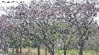 takano3-20250502121044.jpg