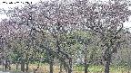 takano3-20250502122045.jpg