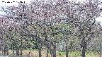 takano3-20250502123044.jpg