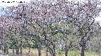 takano3-20250502124044.jpg