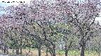 takano3-20250502125045.jpg