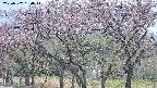 takano3-20250502130046.jpg