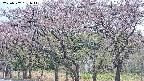 takano3-20250502131045.jpg