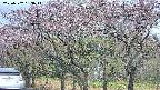 takano3-20250502133045.jpg