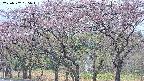 takano3-20250502135044.jpg